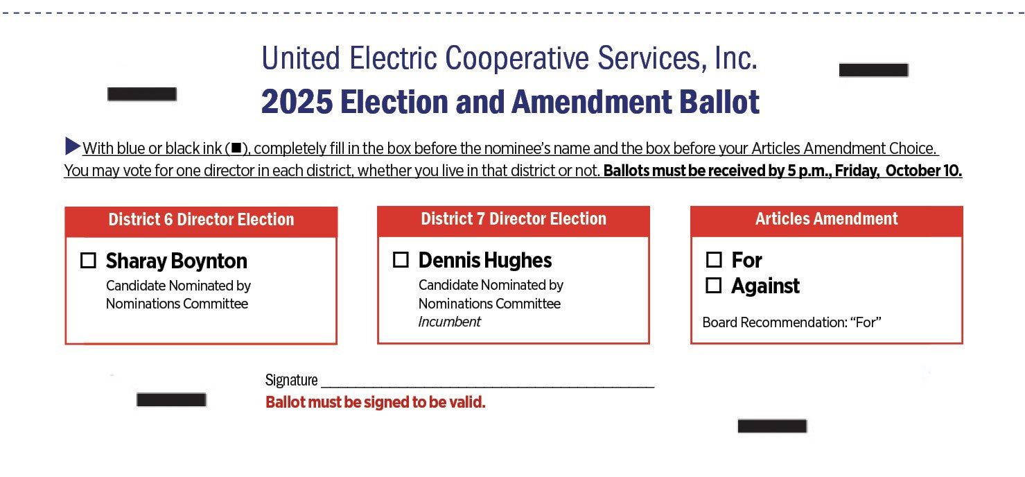 2025 Ballot Sample